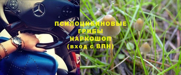 круглые Арсеньев